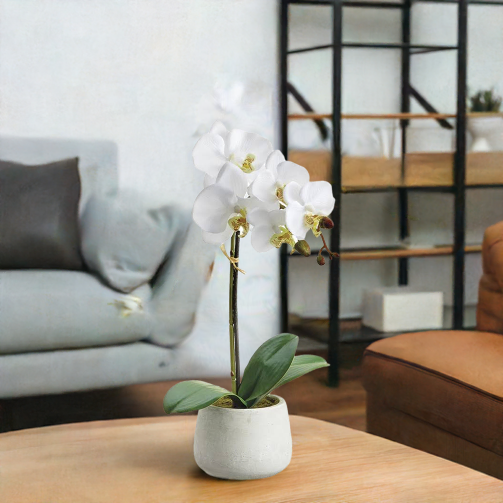 Orquidea blanca en una base de ceramica