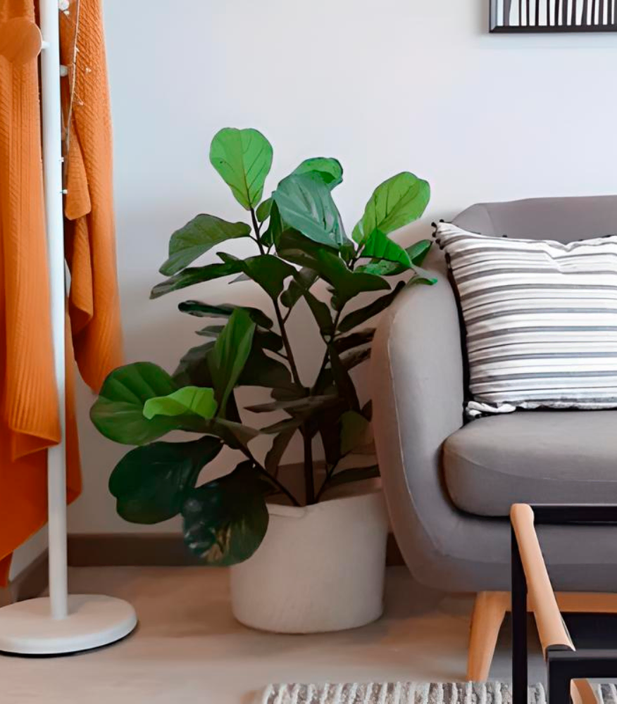 Planta artificial Lyrata