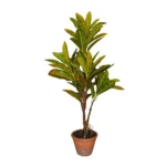 Planta Artificial Crotón 80cm