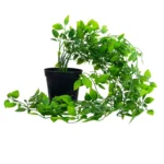 Enredadera Artificial Ivy Verde con Macetero 58cm